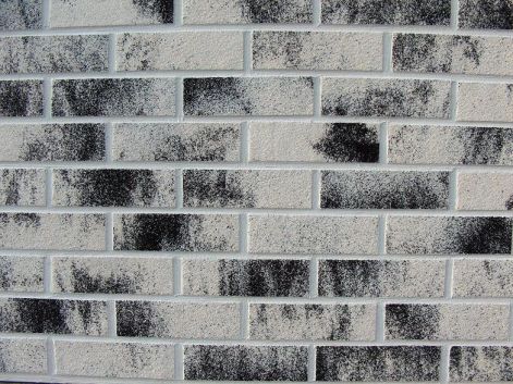 100_f_disztegla.jpg 100_f_disztegla.jpg